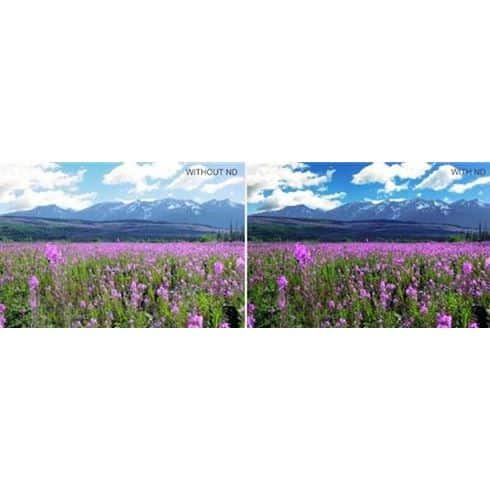 PGY-MAF-004-02 PGY-MAF-004