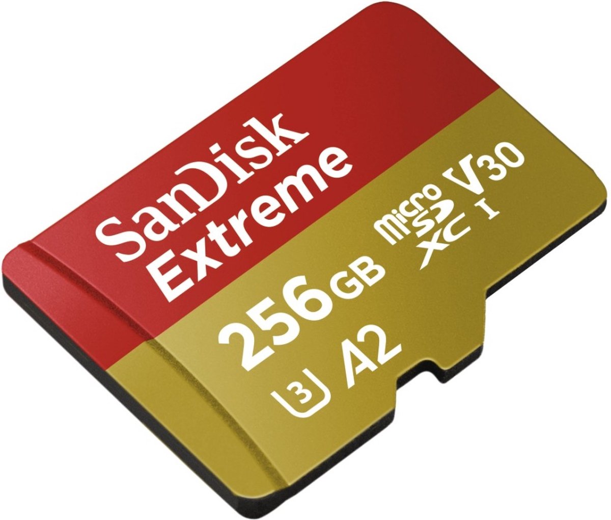 Sandisk 256GB v1 Sandisk 256GB