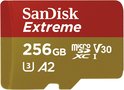 Sandisk 256GB Sandisk 256GB